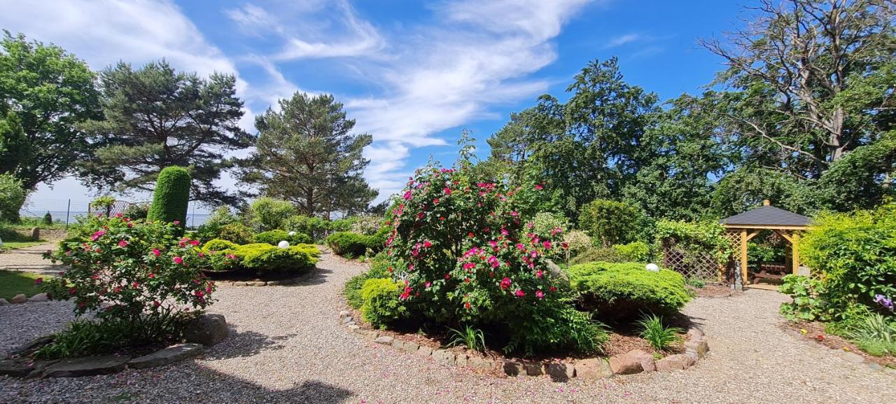 Dom Na Bukowym Wzgorzu Bed and Breakfast Wicko  Eksteriør billede